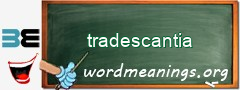 WordMeaning blackboard for tradescantia